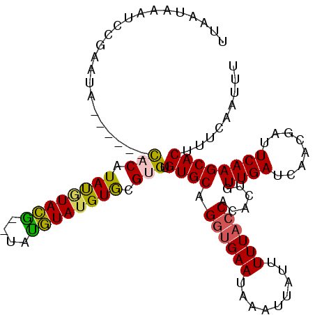 secondary structure