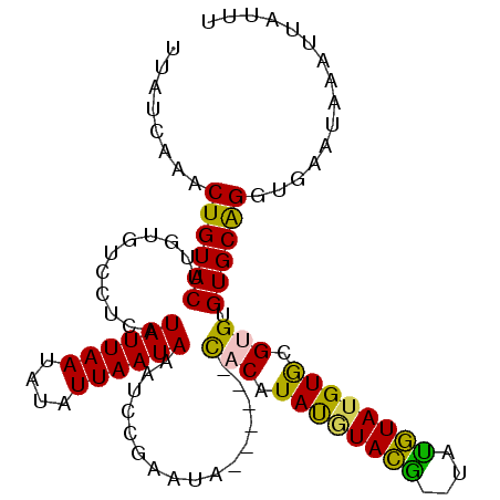 secondary structure