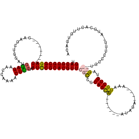 secondary structure