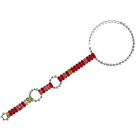 secondary structure
