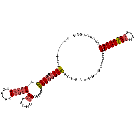secondary structure