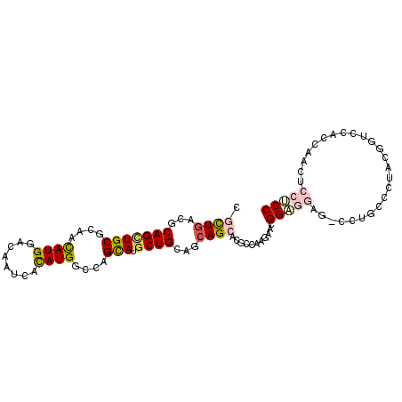 secondary structure