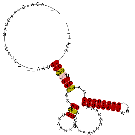 secondary structure