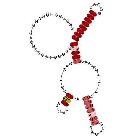 secondary structure