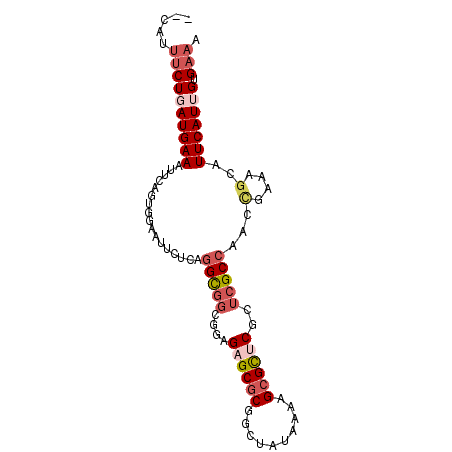 secondary structure