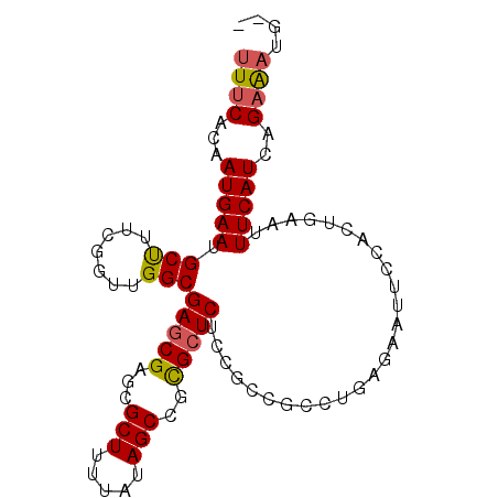 secondary structure