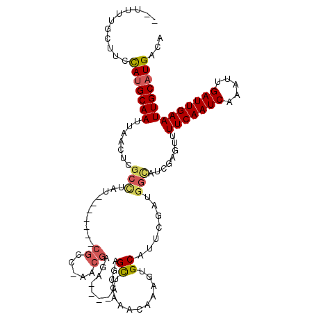 secondary structure