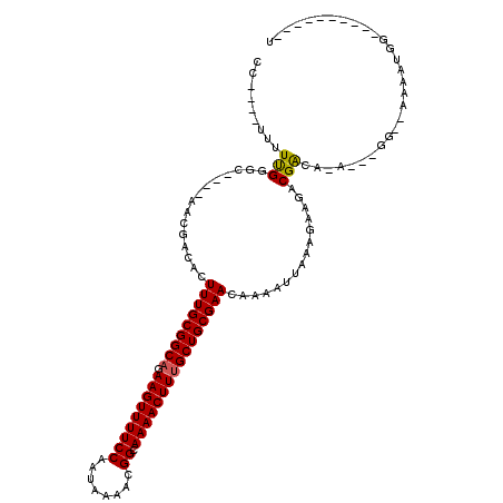 secondary structure