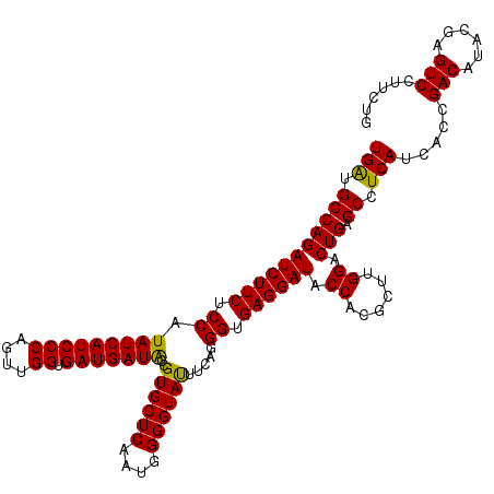 secondary structure