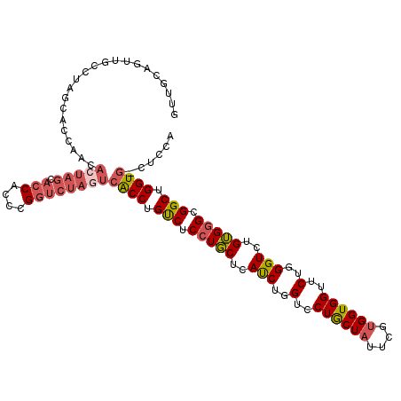 secondary structure
