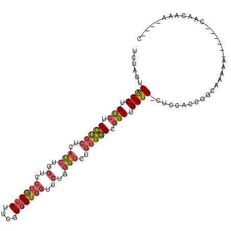 secondary structure