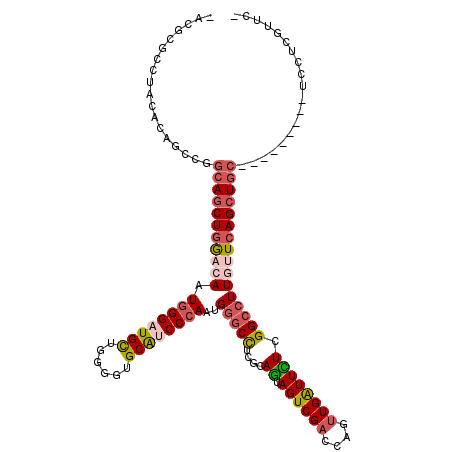 secondary structure