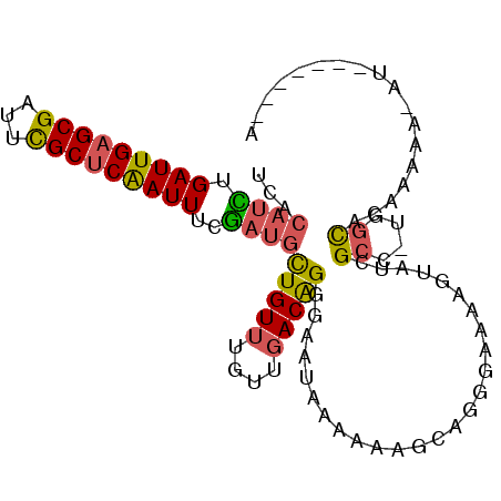 secondary structure