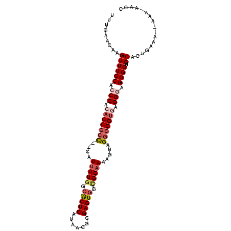 secondary structure