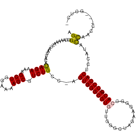 secondary structure