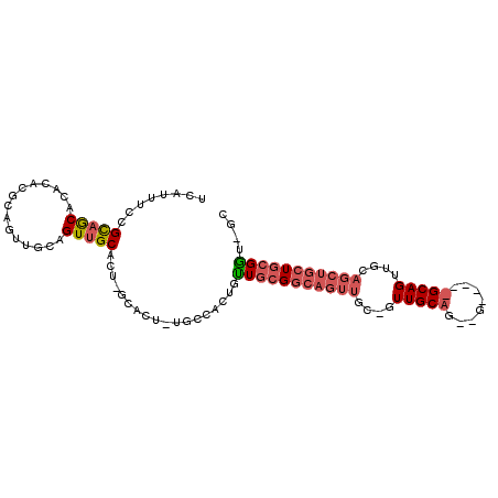 secondary structure