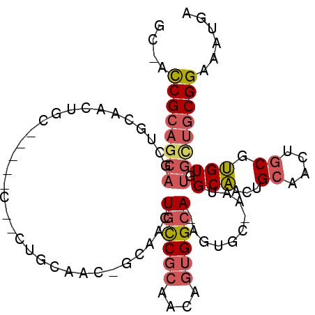 secondary structure