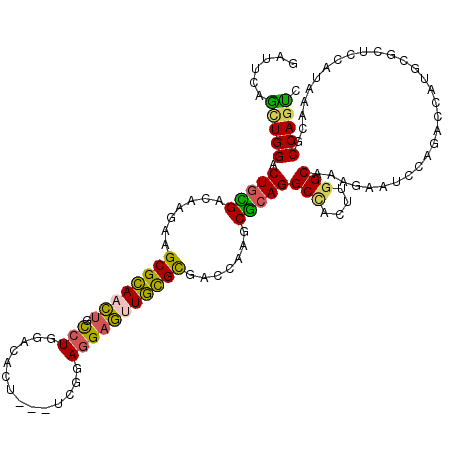 secondary structure
