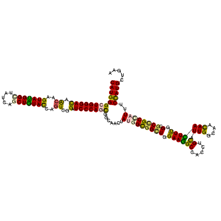 secondary structure