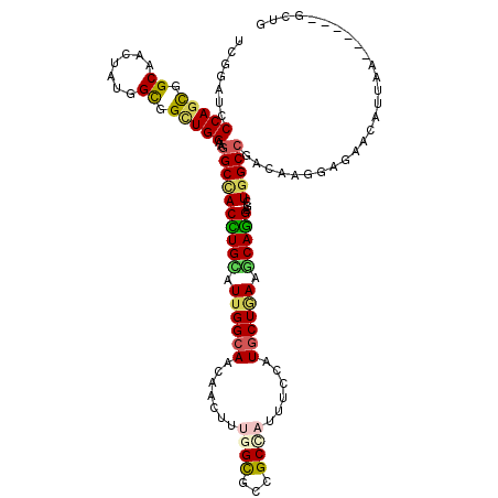 secondary structure