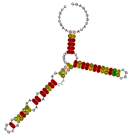 secondary structure