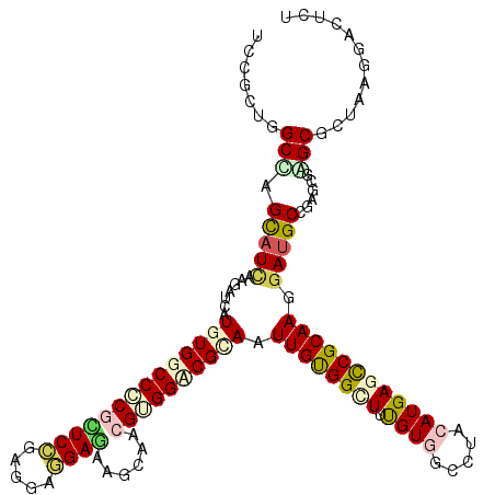 secondary structure