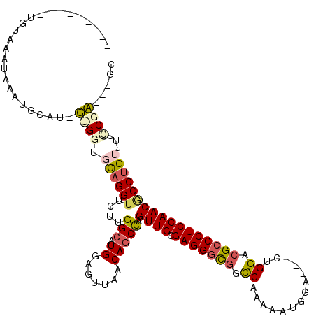 secondary structure