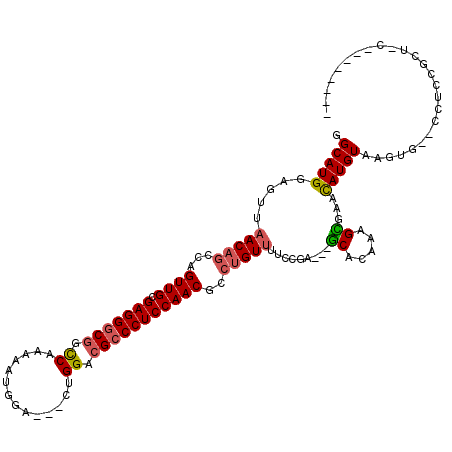 secondary structure