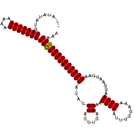 secondary structure