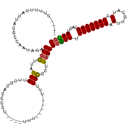 secondary structure