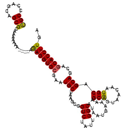 secondary structure
