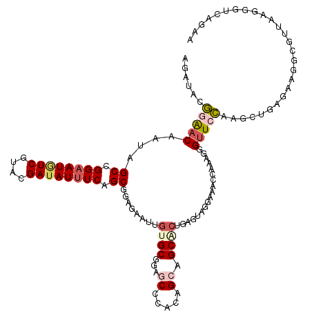 secondary structure