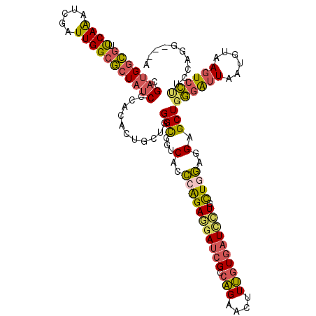 secondary structure