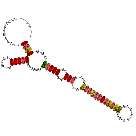 secondary structure