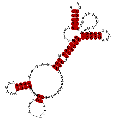 secondary structure