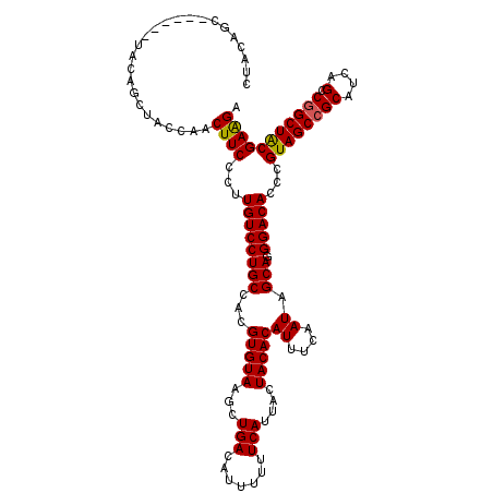 secondary structure