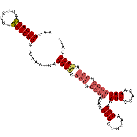 secondary structure
