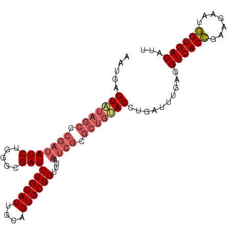secondary structure