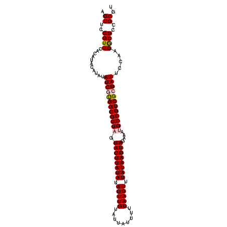 secondary structure