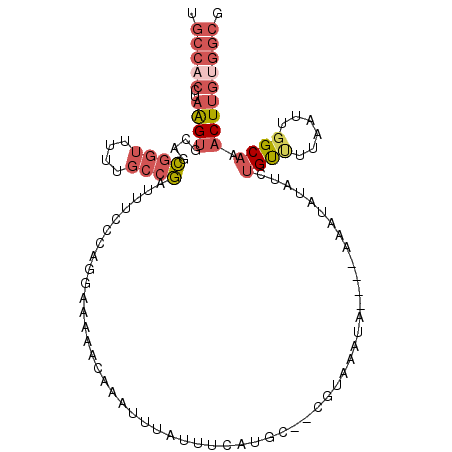secondary structure