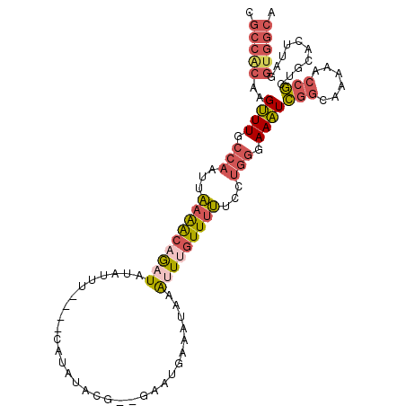 secondary structure