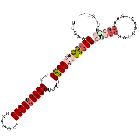 secondary structure