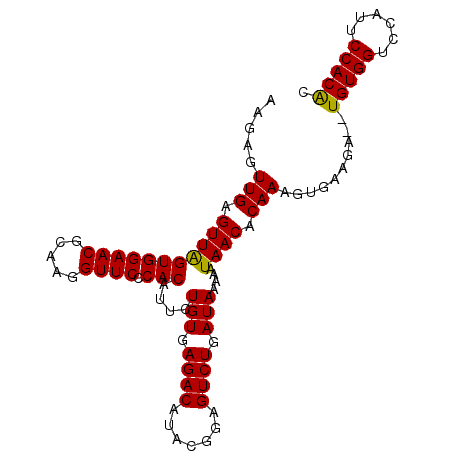 secondary structure