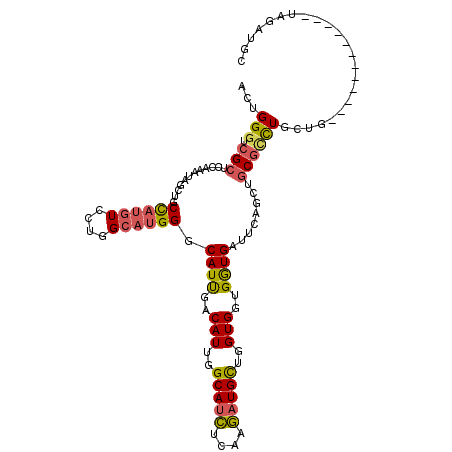 secondary structure