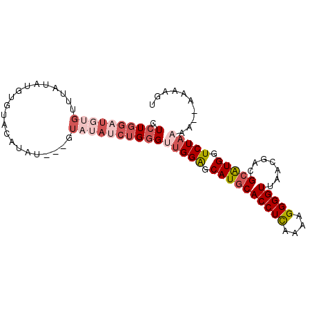secondary structure