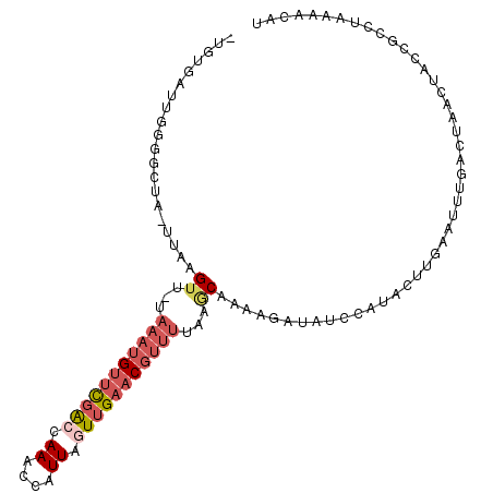 secondary structure