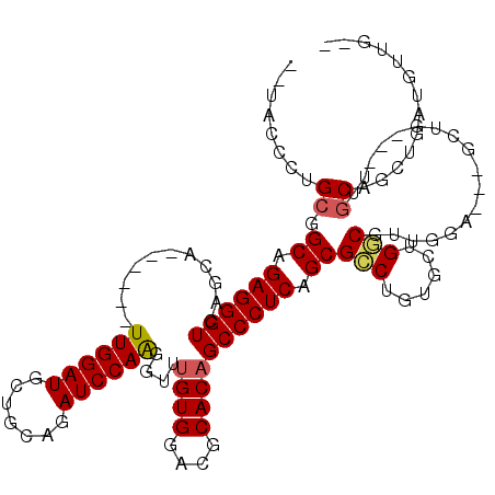 secondary structure