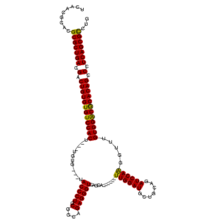 secondary structure