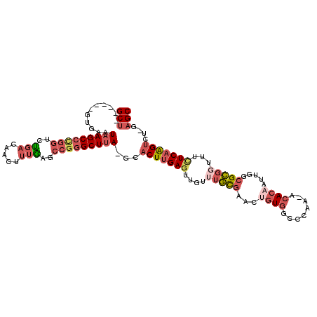 secondary structure