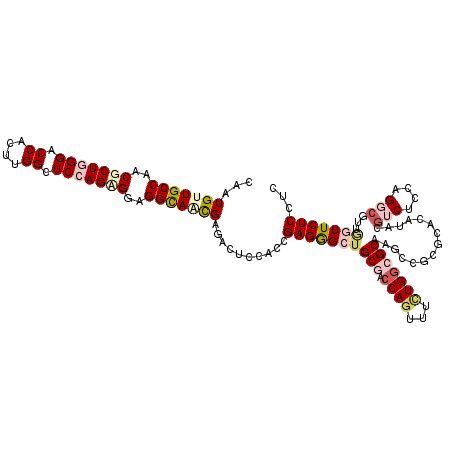 secondary structure